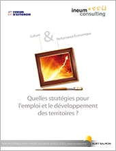 Study Ineum Consulting